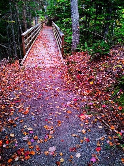 10599425_10152792191439553_6529452825732275310_n