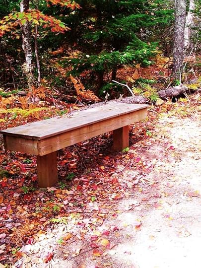 10599416_10152792186409553_8120948536345286582_n