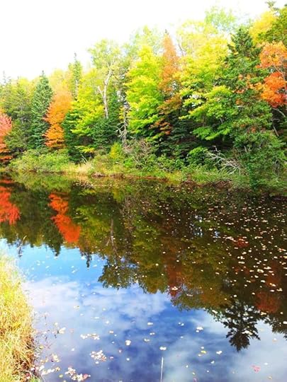 10338703_10152792186264553_8451989657806729699_n