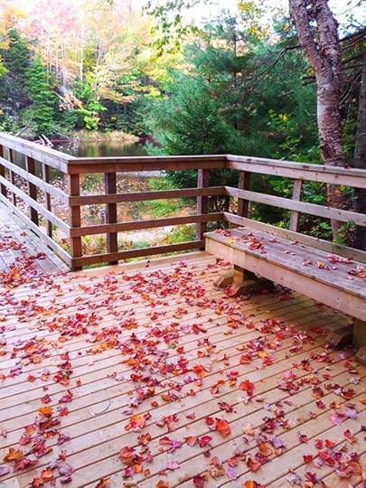 10154054_10152792182964553_6934265805576576851_n