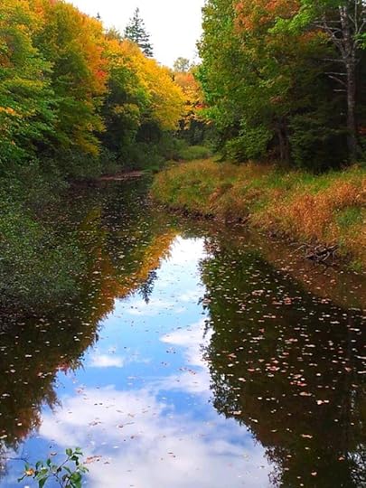 1910145_10152792185564553_8846771894090886266_n