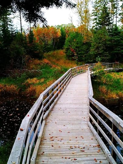 1904249_10152792184979553_3347233759501401944_n