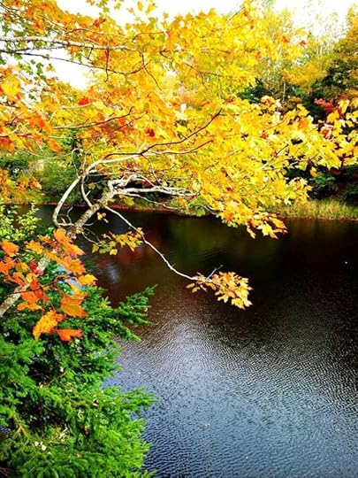 1800361_10152792187509553_6061333462698228141_n