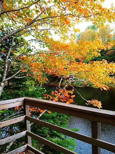 1800194_10152792186929553_4179872413166880022_n