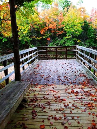 1501746_10152792182824553_8631086991218798033_n