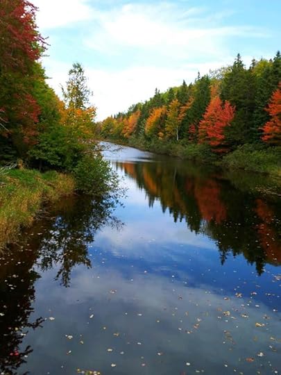 1016577_10152792185694553_276542238512072973_n