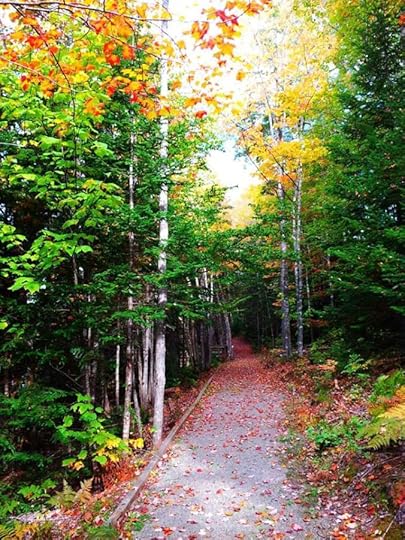 995643_10152792180694553_5659287736107298529_n