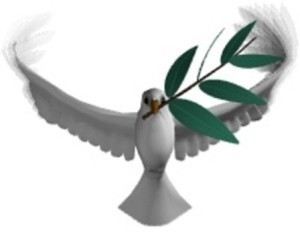 Olive branch