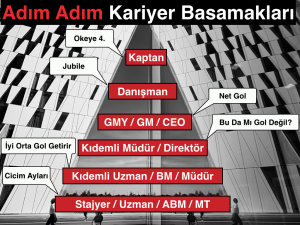 yaz-¦ kariyer basamaklar-¦.001