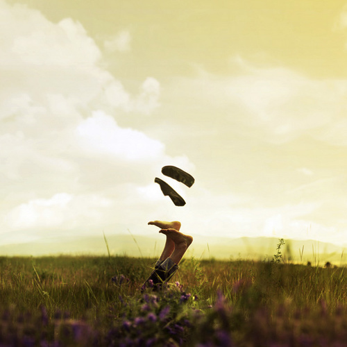 Photo by Joel Robison