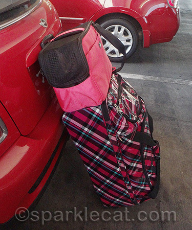 My human has a very loud suitcase!