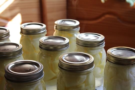 Steamy Apple Pie Filling