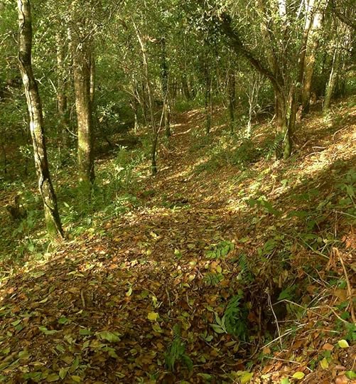 Badger Sett and Pathway