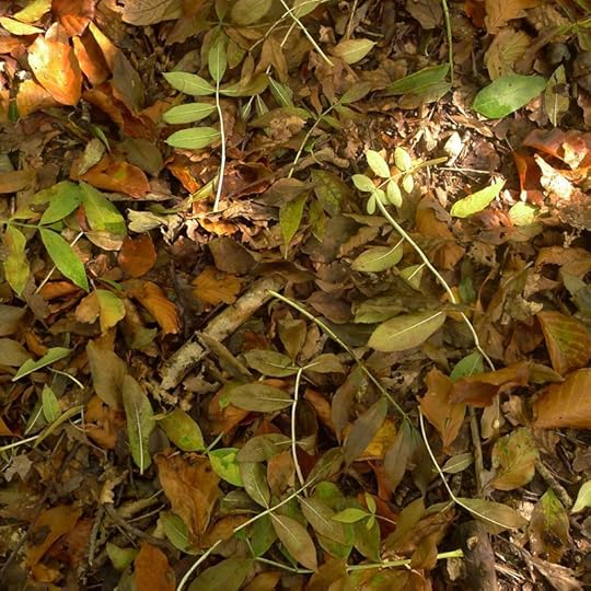 Woodland Still Life in Green, Red, and Gold