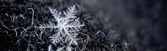 Unique,_snow_flake.jpg
