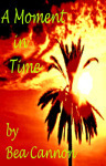 moment in time wp