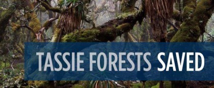 forests