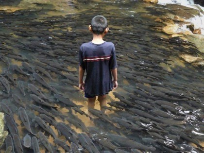 boy with fish