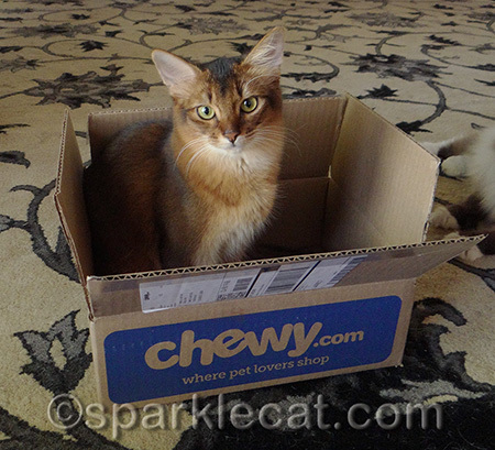 I take my boxes Summer-sized!