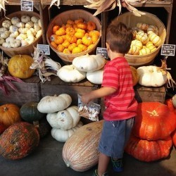 10356417_10152787748497022_5473738144369225585_n