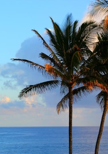 Kauai Palms at Sunset