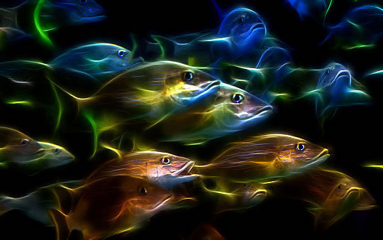 Cooking Fish This Way Protects Brain From Gray Matter Loss With Age