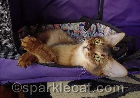 You can't learn this look - it has to come naturally!