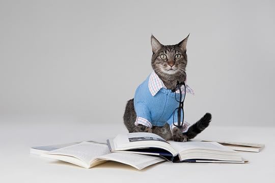 img by Found Animals via FlickR (CC)