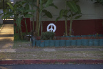 Schoolyard Peace