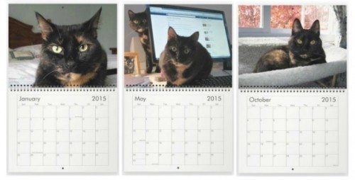 tortoiseshell_cat_calendar
