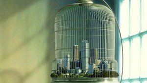 image of a city in a cage