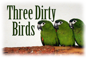 ThreeDirtyBirds-400