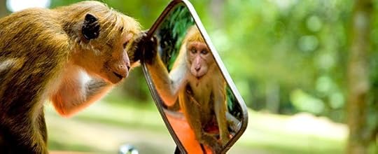 monkey-mirror