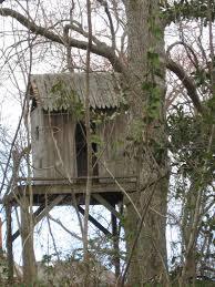  photo cg_zps591aeab9.jpg