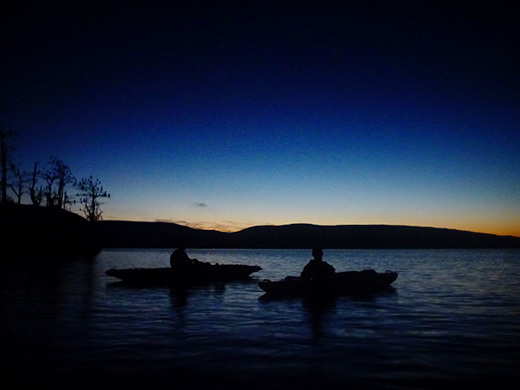 A beautiful moonless night in Tomales Bay