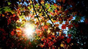 summers-over-but-warm-autumn-due-136392990695003901-140901033004