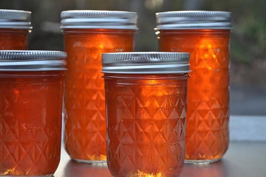 Apple Cider Syrup