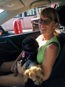 cardogs