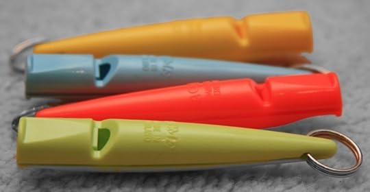 Project whistle. Photo by Holly Occhipinti. CC BY-SA 2.0, via Flickr