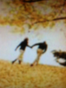 fall colors couple walking