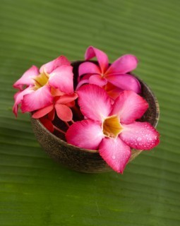 Three red frangipani in bowl and banana leaf texture