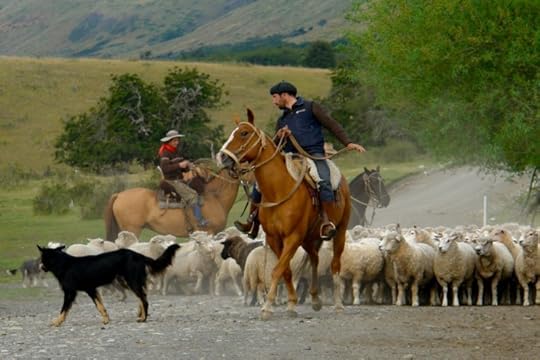 Ryan Saylor - Guachos in Patagonia