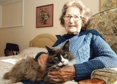 cat_nursing_home