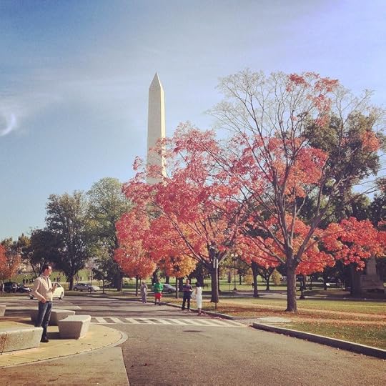 Starting to look like fall #igdc #dc