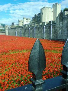 art installation at the Tower of London commemorating 1st World War (photo credit SC Skillman)