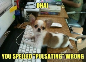 dog on computer