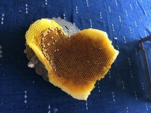 Honeycomb heart