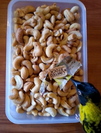 2014-10-05 10.56.53 a