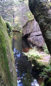 IMAG0829