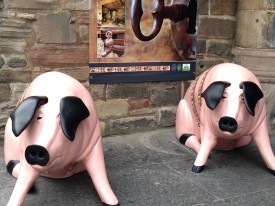 Scotland 079
